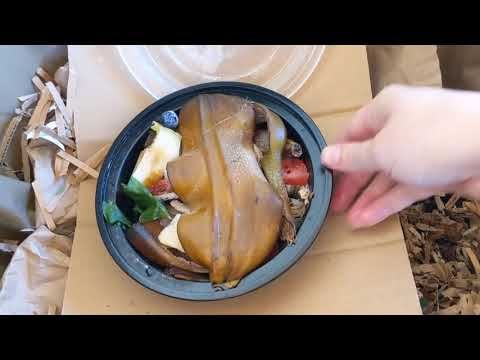Composting Outdoors - Urban Worm Bag v2 Feeding - Day 69 - Feeding After A Break