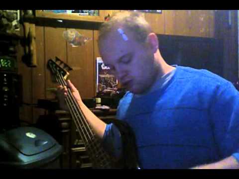 Autumn Awakening Tiger Blood bass cover