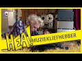 HEA! Muziekliefhebber Johan