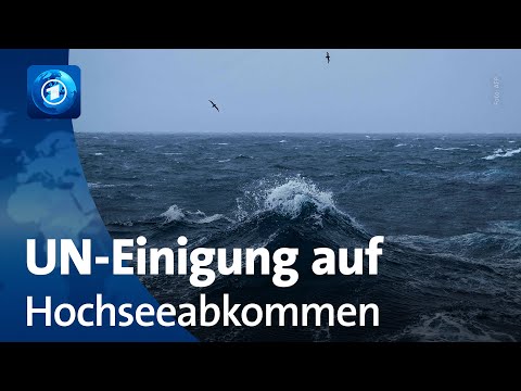 Vorschaubild Video