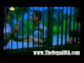 NEPALI FLIM NEPALI MOVIE PANCHHI PART 10