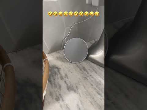 I’m Sure This Was A Very Detailed & Thorough Mistake… #shortsfeed #shortsvideo #atf #biden Thumbnail