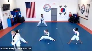 Live Class - Green Belt - 6.11.20 @ 5:15pm