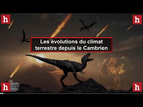 Les évolutions du climat terrestre depuis le Cambrien: causes et conséquences