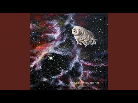 Space Between the Air