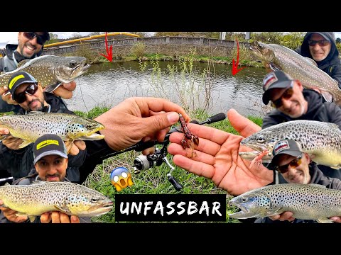 🎁 Diese TECHNIK am BACH hat unsere ERWARTUNGEN übertroffen 😍 Angeln auf Bachforelle | GEWINNSPIEL 🎁