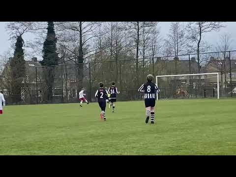 Valleivogels-sv Laren