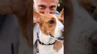 Particular x convênio: qual paga melhor pro veterinário?