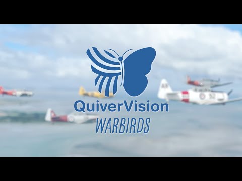 QuiverVision at Warbirds on Parade, Auckland NZ