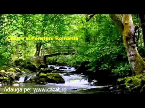 Cazare Scanteiesti, Galati - Cazat.ro