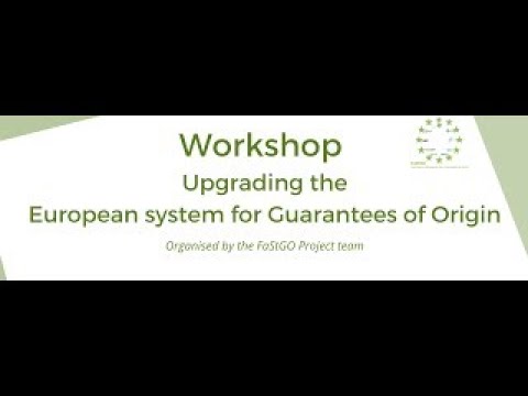 FaStGO Stakeholder Workshop 29 October 2020