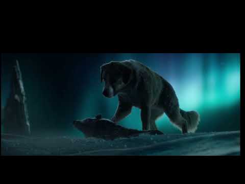 Buck vs Spitz || The call of wild ||2020