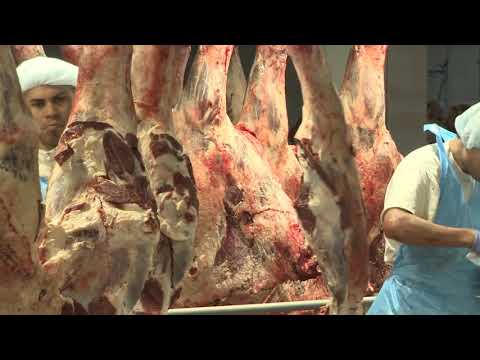 AJ Svijet 18_11_2018 - Nedjelja 21:30