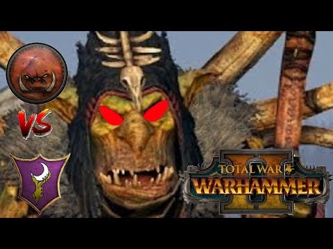 Dark Elves vs Greenskins | VINDICTIVE SHOWDOWN - Total War Warhammer 2