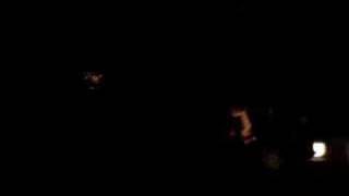 Misery Signals - Something Was Always Missing, But It Was...