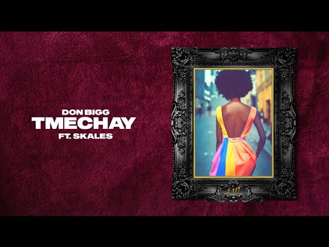 DON BIGG - Tmechay (Ft. Skales) | Official Lyric Video (Clean Version)