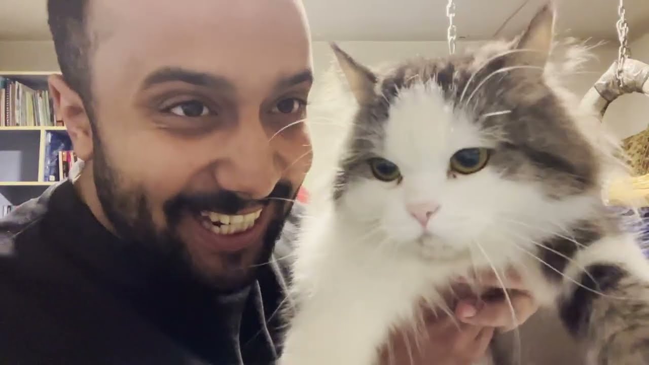 IMG 5511 - ده فيديو بيضحك