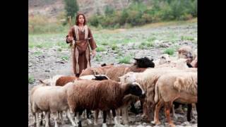 Altair Weber Oficial