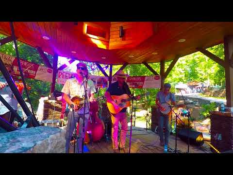 TownMountain @ Reevestock 8/5/17 - Full Show
