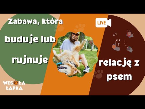 10 zasad zabaw z psem