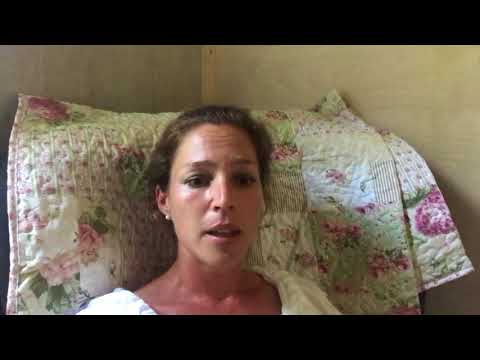 Historien om mig og min usikre hund med angst for mennesker og fremmede hunde