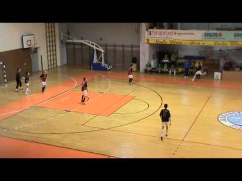 CRNICA - HRVATSKI DRAGOVOLJAC, 16.02.2013.