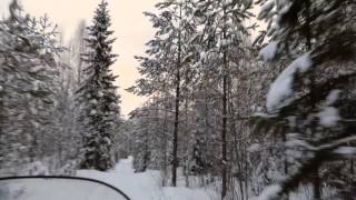 preview picture of video 'Skotertur i skogarna kring Alby den 3 mars 2014'