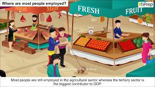 Why The Tertiary Sector Becoming So Important in India | Chapter 2 | Economics | Class 10 | iPrep