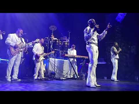 Earth, Wind and Fire - After The Love Has Gone - tribute by The Chicago Funk Leiden 31 mei 2024