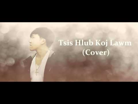 David Yang - Tsis Hlub Koj Lawm (Cover)