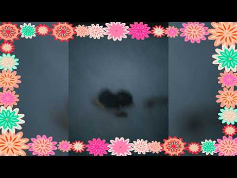 Sahabuddin happy birthday pic and video