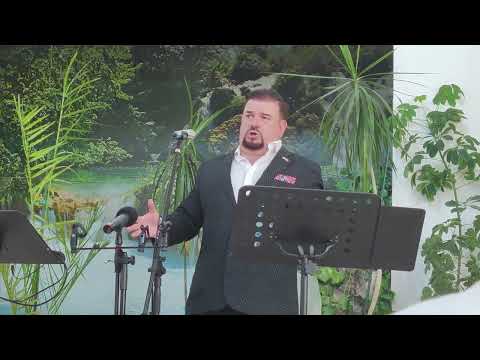 Daniel Prunaru - Amazing Grace