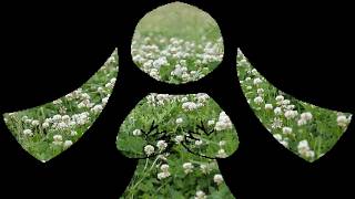 Cover art for yours to answer