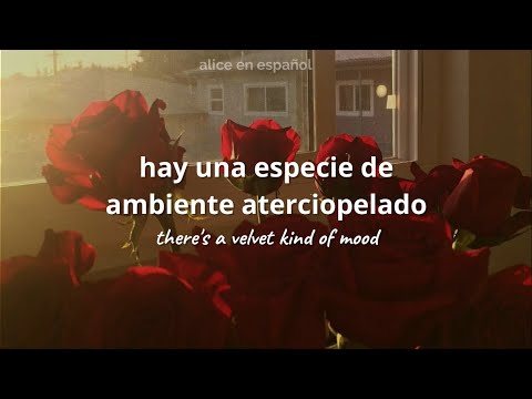 Velvet Mood - Alice Phoebe Lou (sub español)