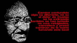 Macaco - Meu Amigo Gandhi