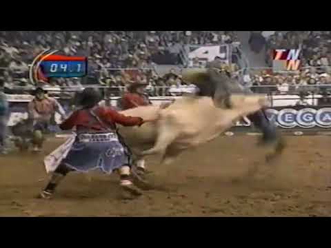 PBR 2001: Paulo Crimber Hood Ornament on Cue Ball