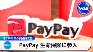 PayPay 生命保険に参入 2027年10月 T＆D子会社を買収【WBS】