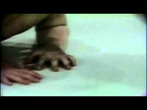 That's soulless! - Your reptilian heritage