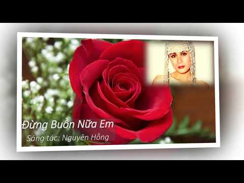 Đừng buồn nữa em - Ngọc Lan