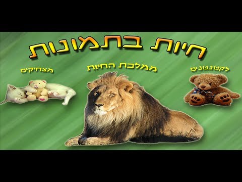 חיות בתמונות - עולם החי לילדים ‎ Video