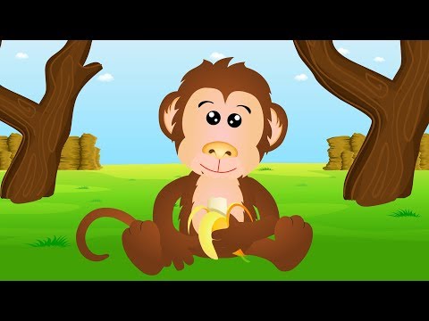 Co zjadają zwierzęta? - bajka dla malucha