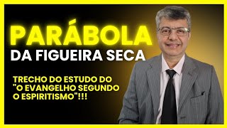 A Parábola da Figueira Seca - trecho retirado da live de segunda-feira 