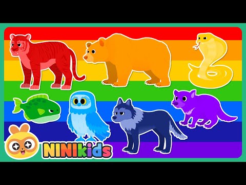 What Color Is This Animal? | Rainbow Animals | Carnivore Coloring | Word Game | NINIkids