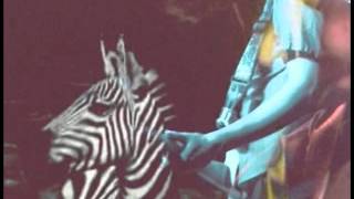 Deerhunter - Spring Hall Convert (Official Music Video)