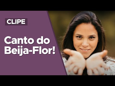 Canto do Beija-Flor