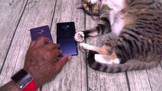 Xerxes Reviews The Samsung Galaxy Note 9