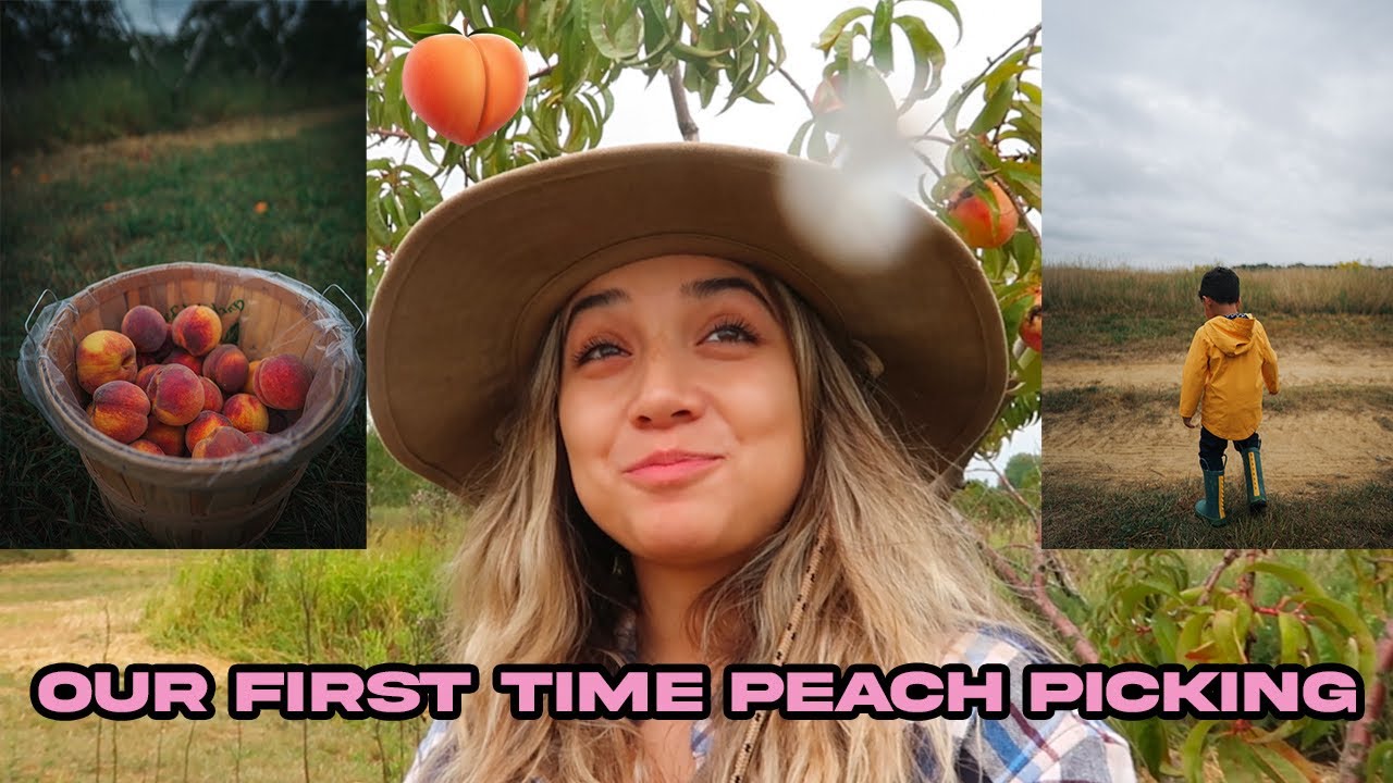 Our First Time Peach Picking