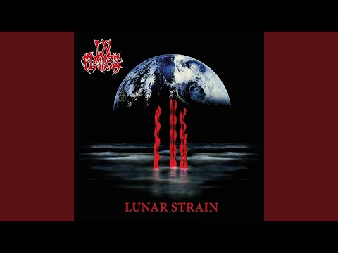 Upon an Oaken Throne