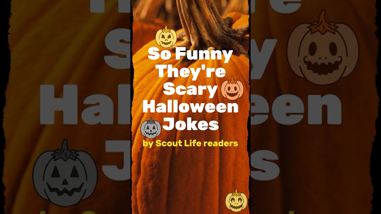 10 Halloween Jokes -- So Funny They're Scary! #halloween #halloween2024 #jokes
