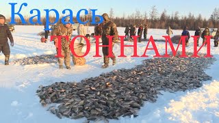 Как надо ловить карася в якутии